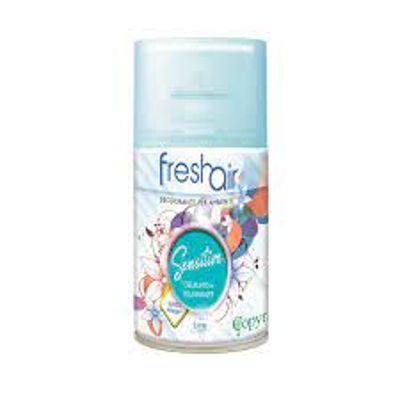 BOMBOLA DEODORANTE ECO AIR COPYR 250ML